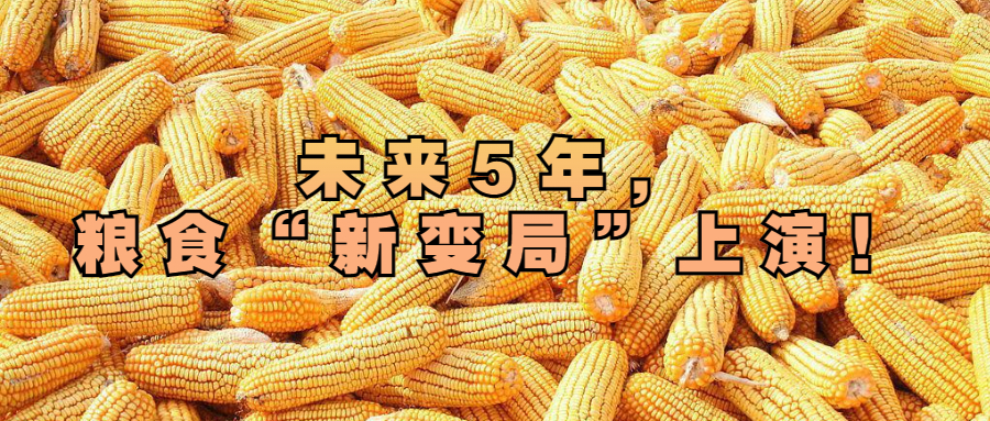 未來5年，糧食“新變局”上演！