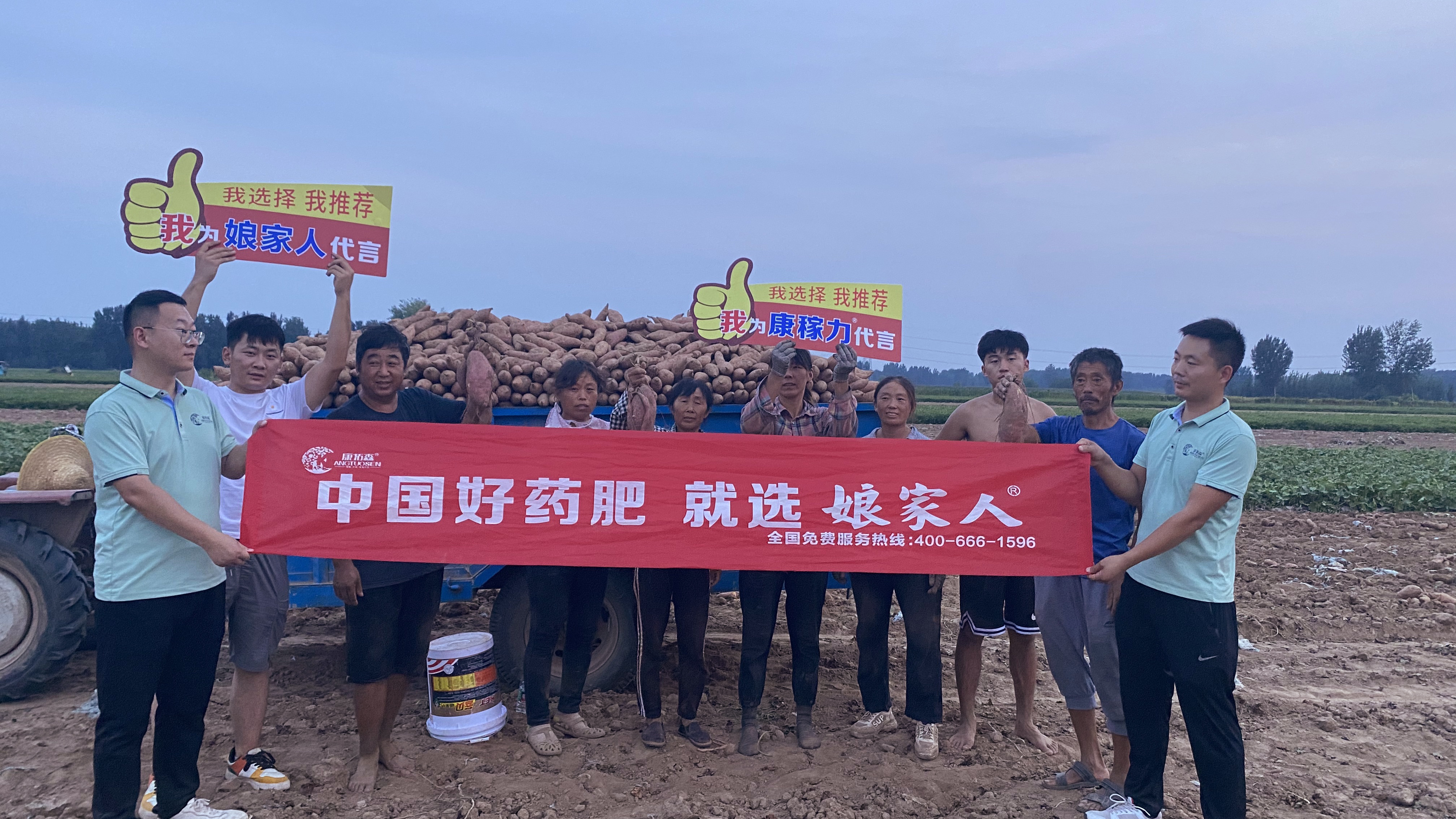 想要紅薯沒病害沒蟲咬？向他學習！